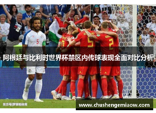 阿根廷与比利时世界杯禁区内传球表现全面对比分析