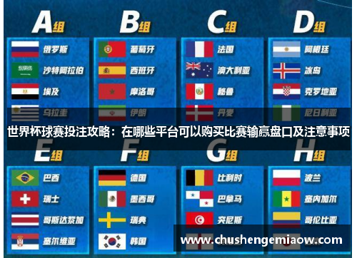 世界杯球赛投注攻略：在哪些平台可以购买比赛输赢盘口及注意事项