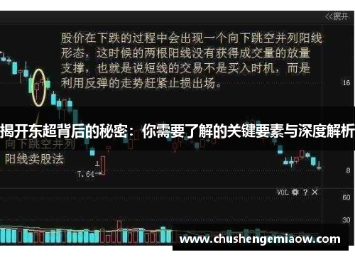 揭开东超背后的秘密：你需要了解的关键要素与深度解析