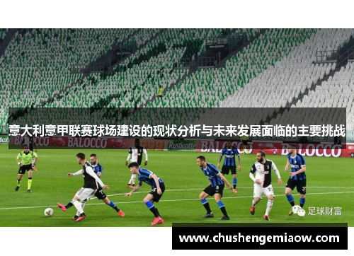 意大利意甲联赛球场建设的现状分析与未来发展面临的主要挑战