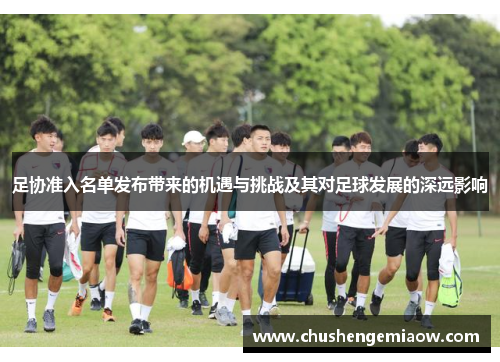 足协准入名单发布带来的机遇与挑战及其对足球发展的深远影响